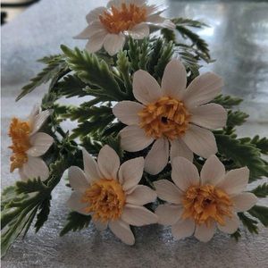 English Bone China Daisy’s